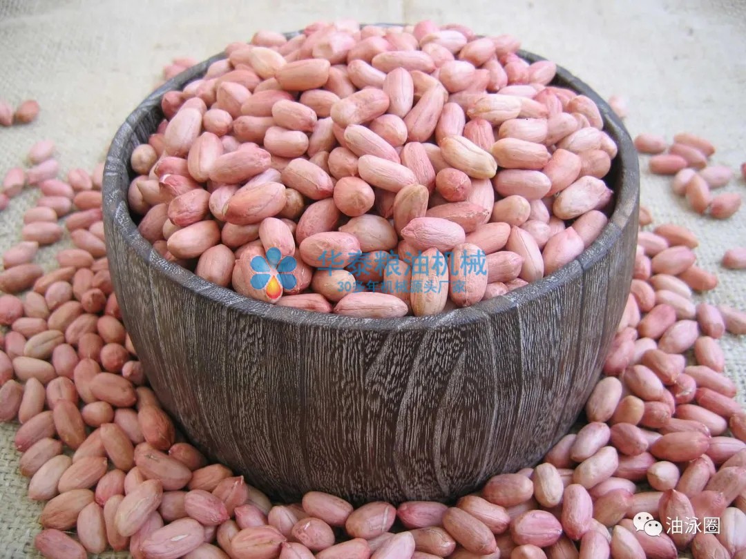 1634172962212171.jpg 2.webp.jpg